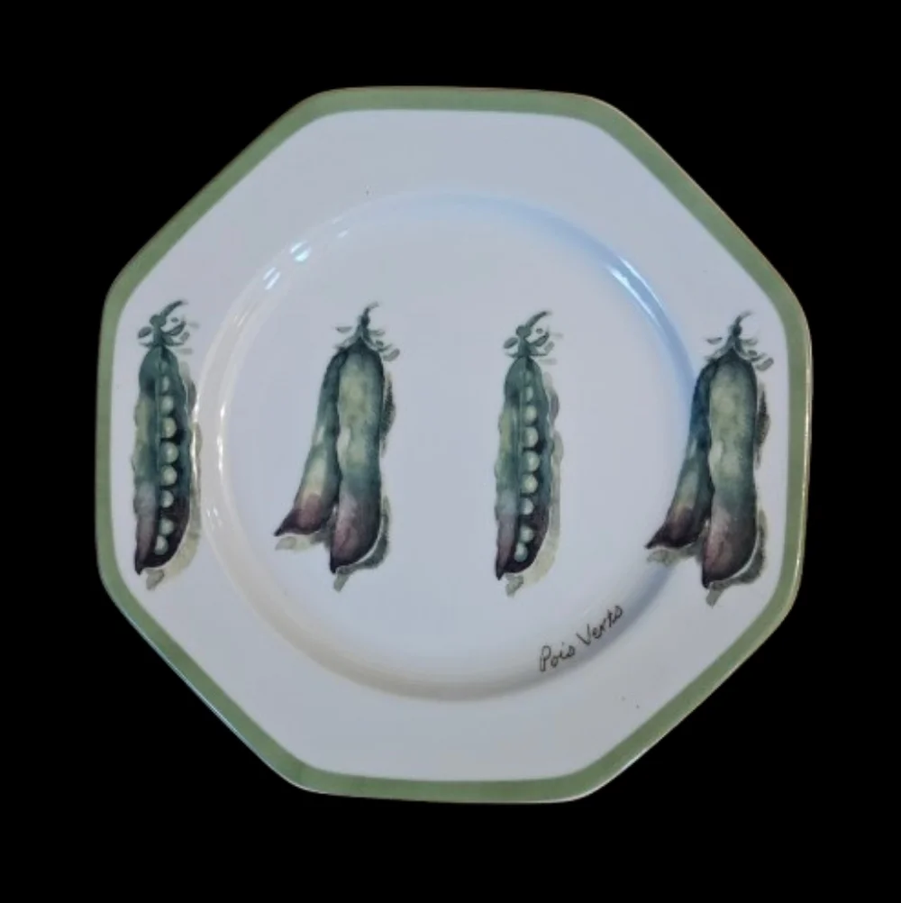 *NWOT William Sonoma Vegetable Garden Salad Plates Set Of 6
